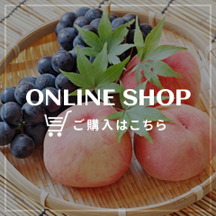 ONLINE SHOP